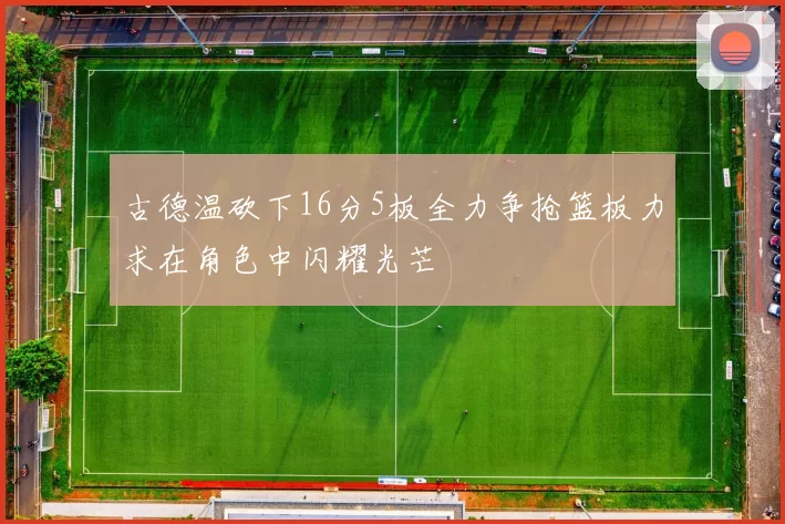 古德温砍下16分5板全力争抢篮板力求在角色中闪耀光芒